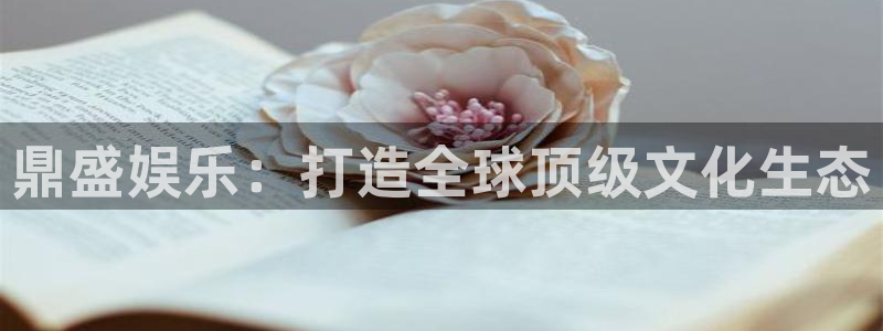 恒盛娱乐