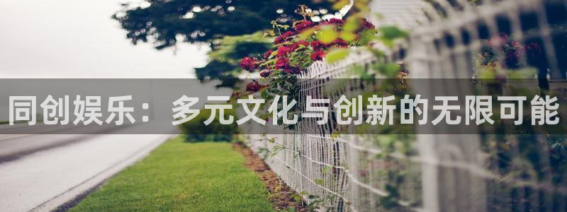 恒盛娱乐登录