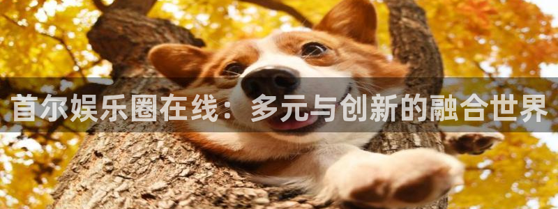 恒盛娱乐官网