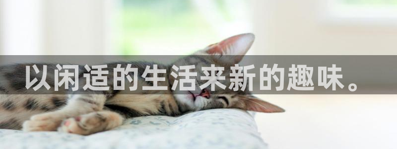 恒盛娱乐官网